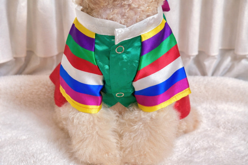 Korean Saekdong Pet Hanbok