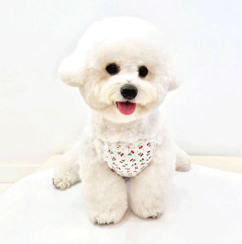 Lace Cherry Sleeveless