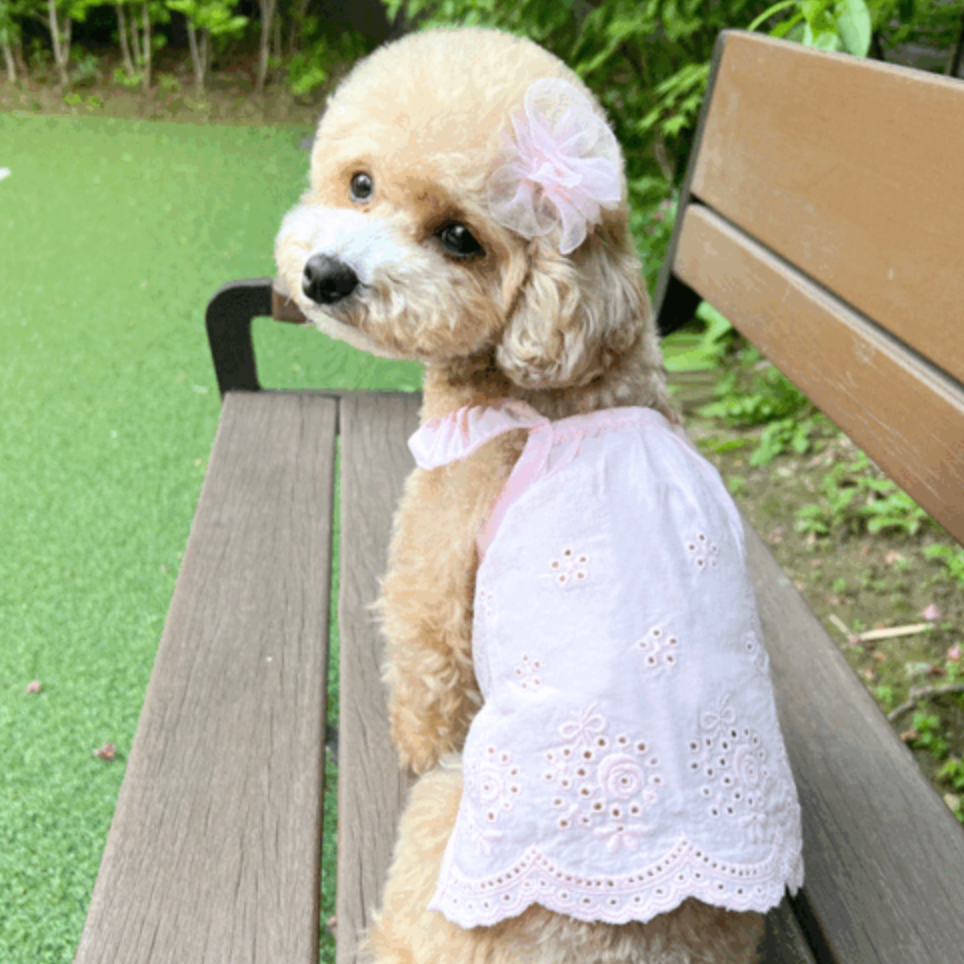 Eyelet Smocked Dress