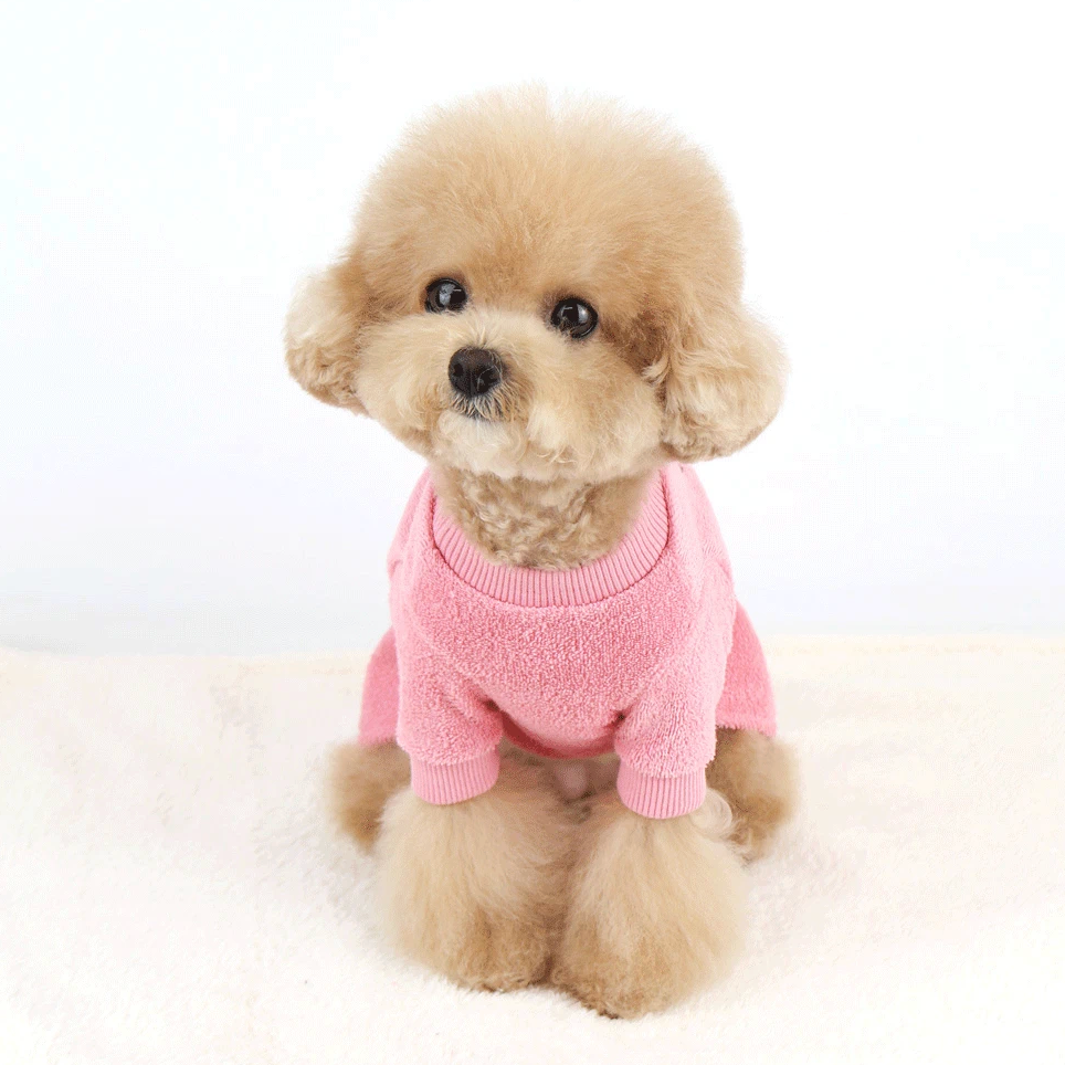 Fresh Fruit Terry Shirt&Dress