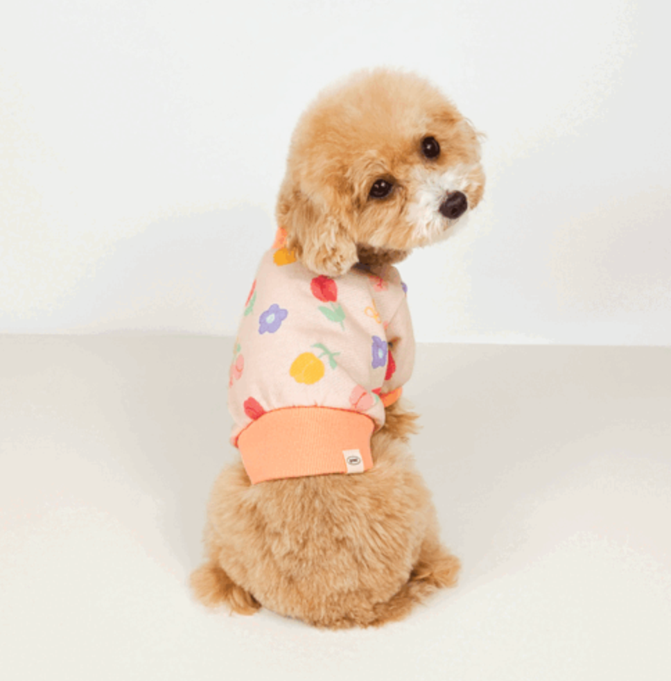 Spring Crop Sweatshirt