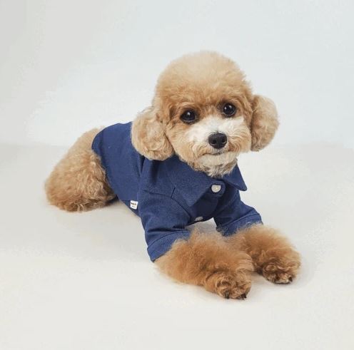 Cotton Polo Shirt