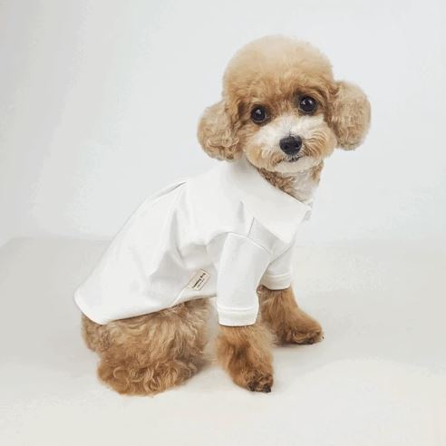 Cotton Polo Shirt