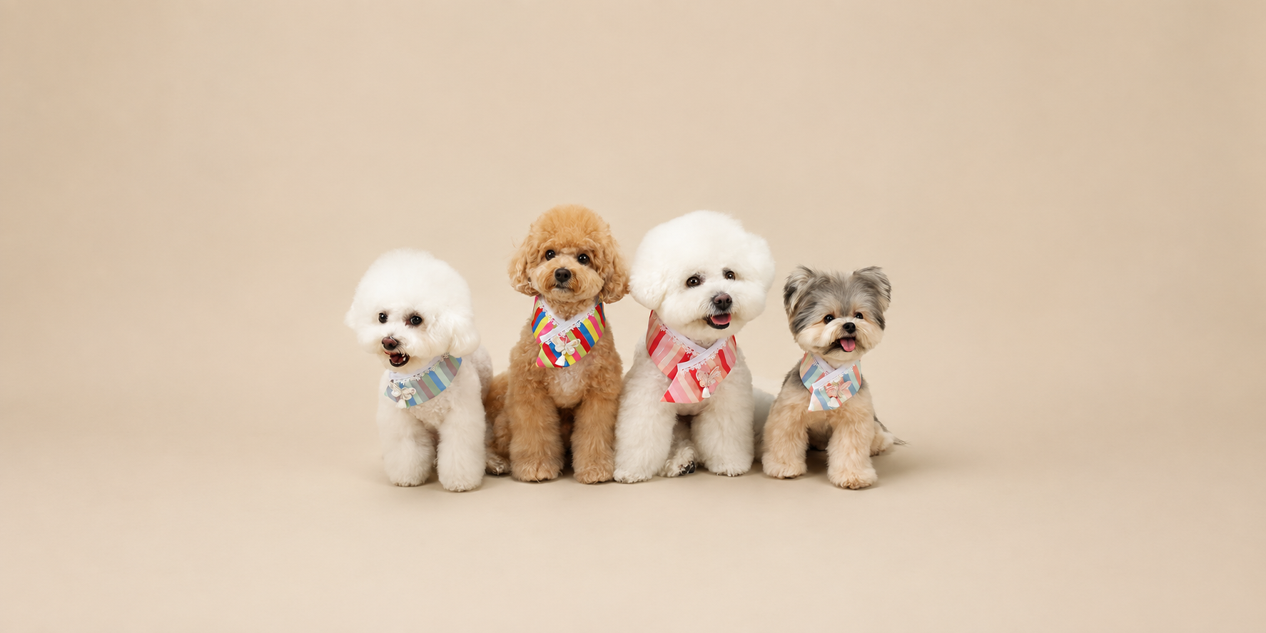 NKpup