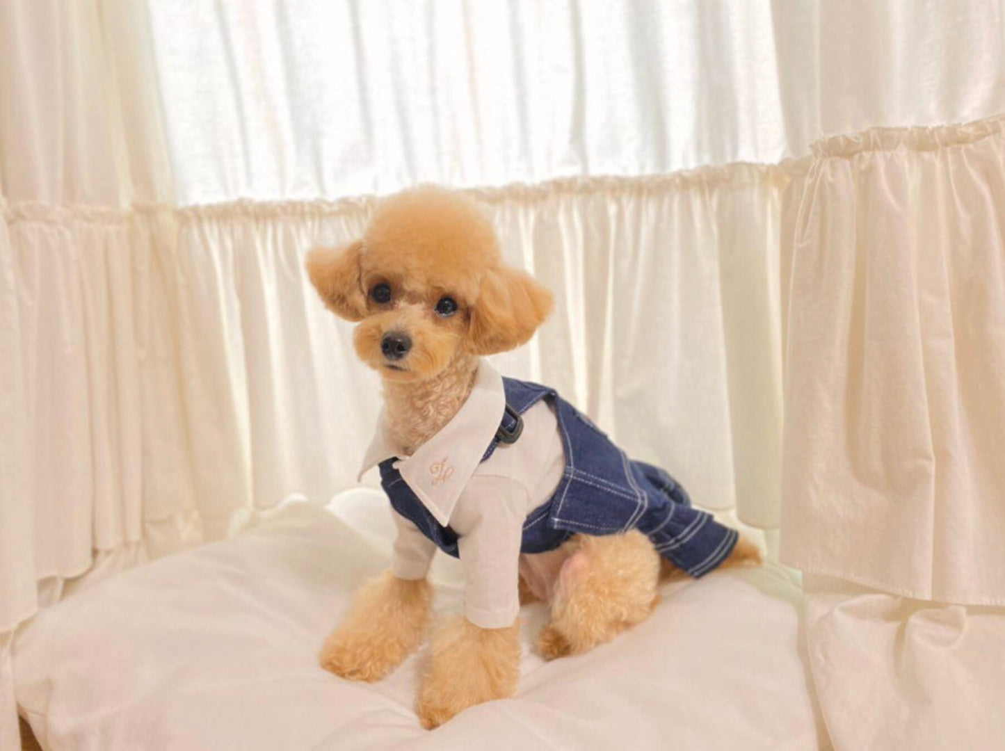 Denim Pocket Overall Skirt, S-XL, Dog-dress, Dog Skirt, Dog Top, Dog Clothing, Dog Fashion, Dog Apparel - NKpup
