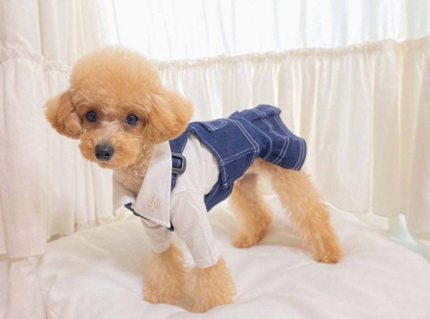 Denim Pocket Overall Skirt, S-XL, Dog-dress, Dog Skirt, Dog Top, Dog Clothing, Dog Fashion, Dog Apparel - NKpup