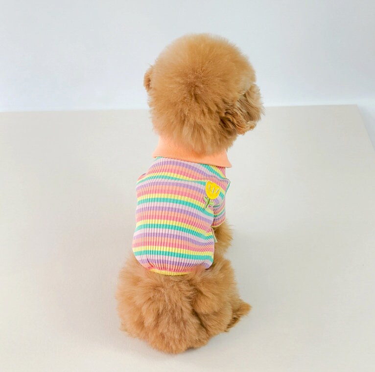 Rainbow Collar T-Shirt, S-2XL, Small Dog Clothes, Dog-Tee, Dog T-shirt, Dog Top, Dog Clothing, Dog Fashion - NKpup