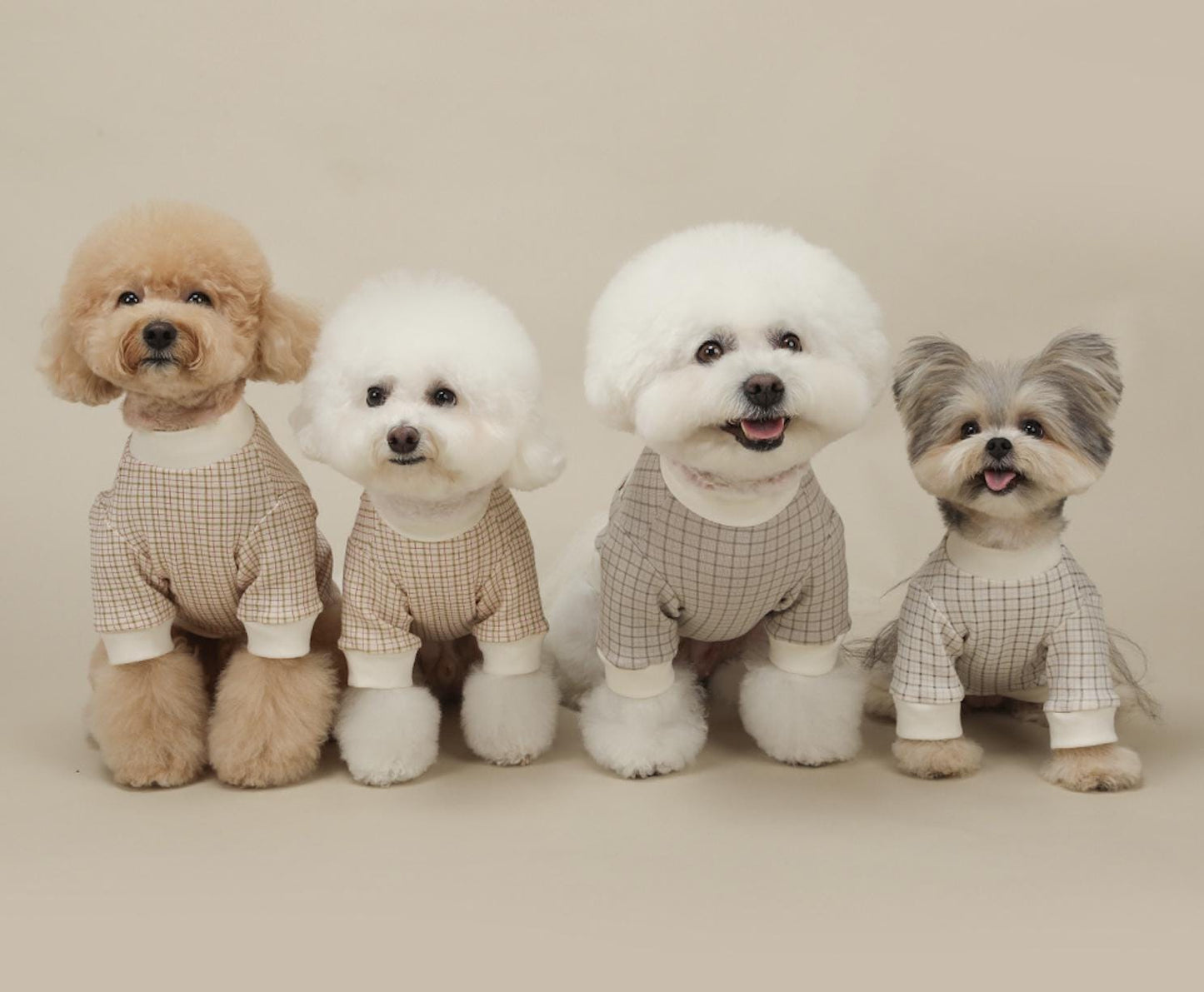 Charming Checker Tee, S-2XL, Small Dog Clothes, Dog Top, Dog T-shirts, Pet Clothes, NKPUP - NKpup