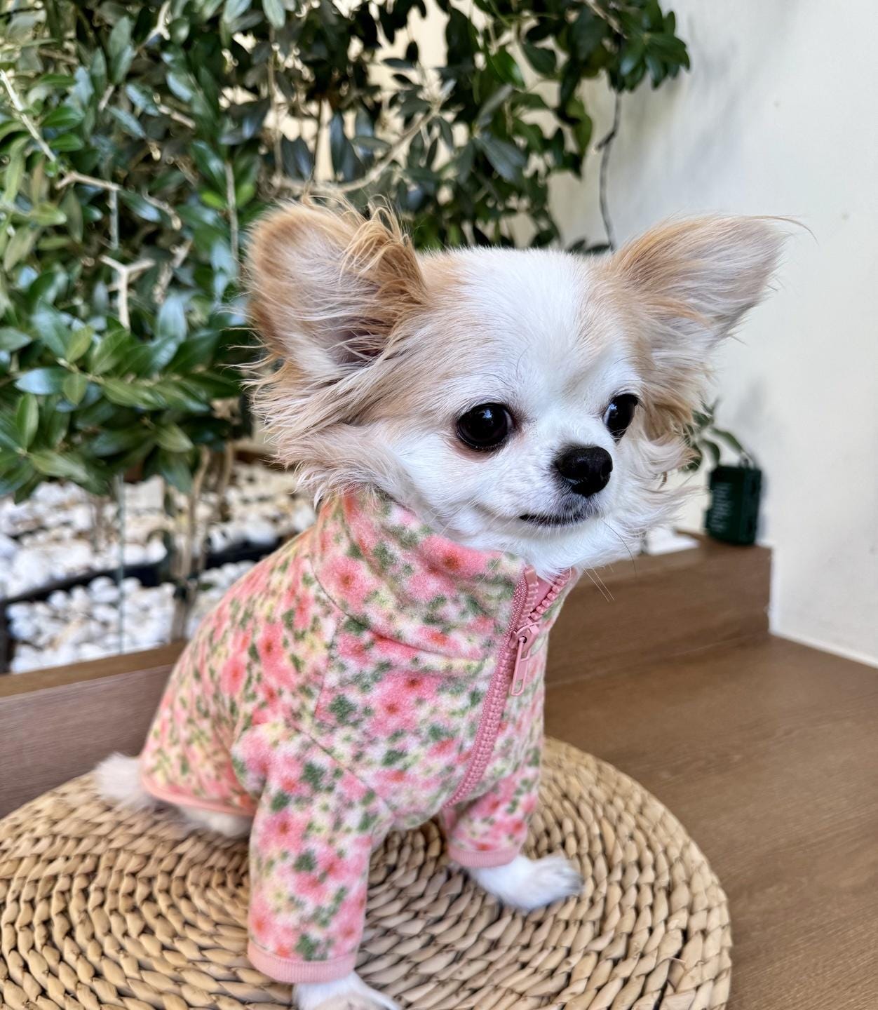 Floral Zip-Up Fleece Jacket - NKpup
