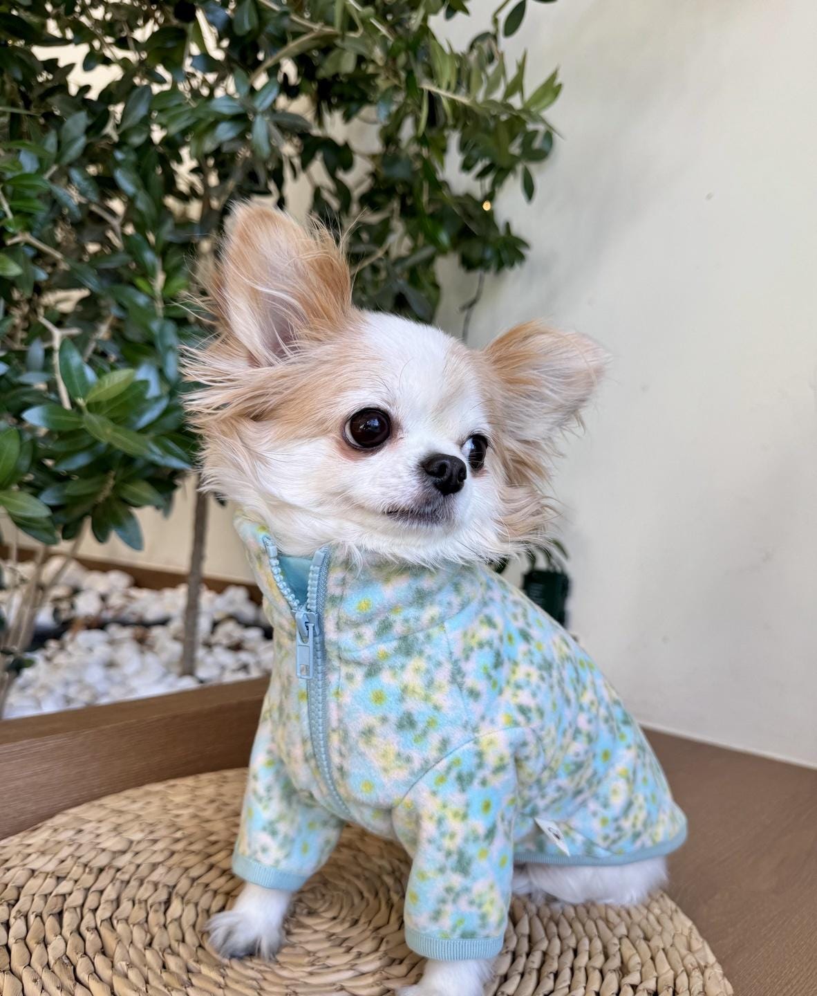 Floral Zip-Up Fleece Jacket - NKpup