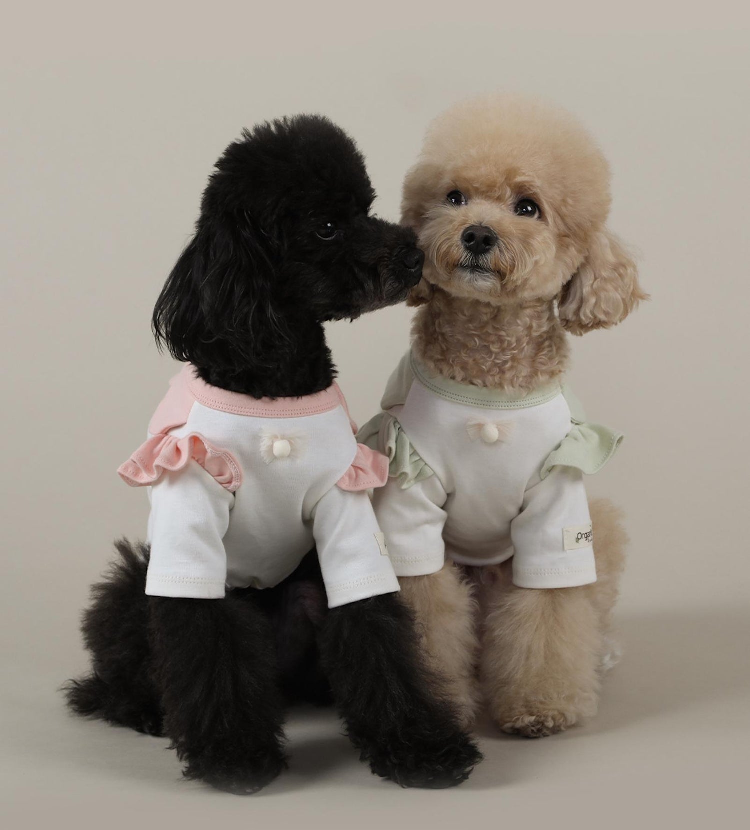 GOTS Organic Cotton Frilled T-Shirt, S-2XL, Certified Organic Cotton, Dog Cotton T-shirt, Dog Top, Eco-Friendly T-shirt for Dogs - NKpup