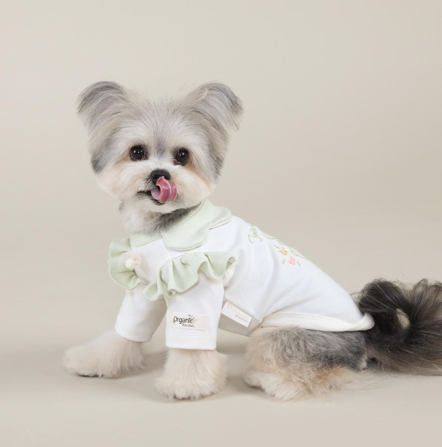 GOTS Organic Cotton Frilled T-Shirt, S-2XL, Certified Organic Cotton, Dog Cotton T-shirt, Dog Top, Eco-Friendly T-shirt for Dogs - NKpup