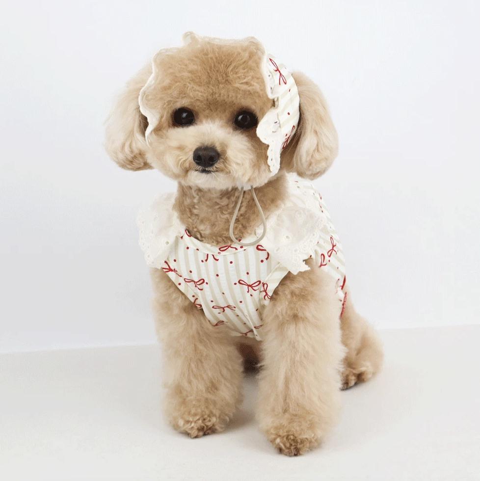 Ribbon Bonnet Dress Set, S-XL, Small Dog Dress, Small Dog Clothes, Dog Fashion, Dog Apparel, Gift for Dogs, NKPUP - NKpup