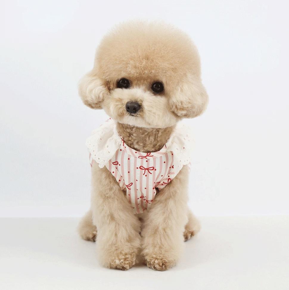 Ribbon Bonnet Dress Set, S-XL, Small Dog Dress, Small Dog Clothes, Dog Fashion, Dog Apparel, Gift for Dogs, NKPUP - NKpup
