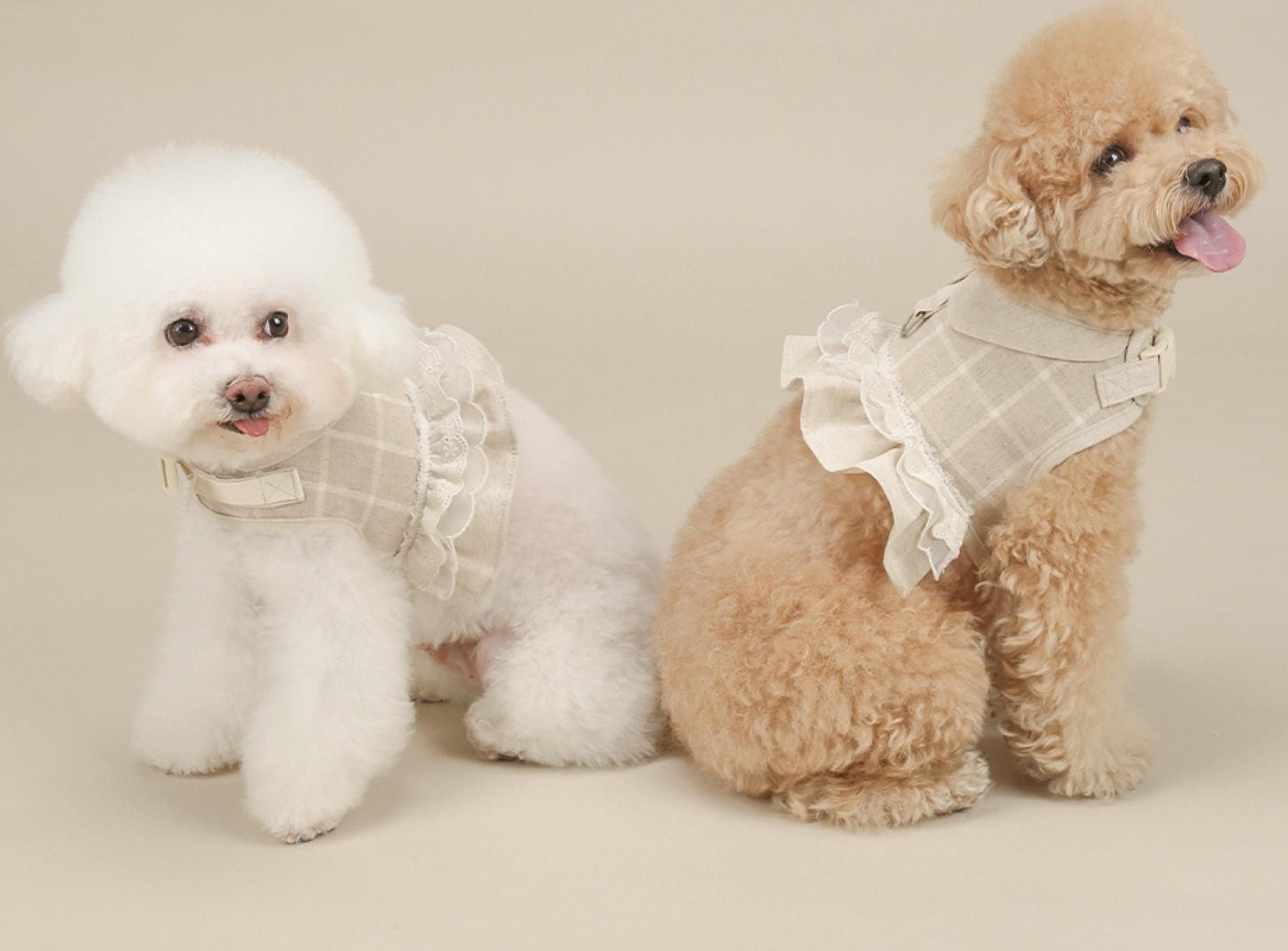 Chic Linen Ruffle Harness, Two Designs, Dress Harness for Pet, Step in Harness, Adjustable Dog Cotton Harness, Small Dog Harness - NKpup