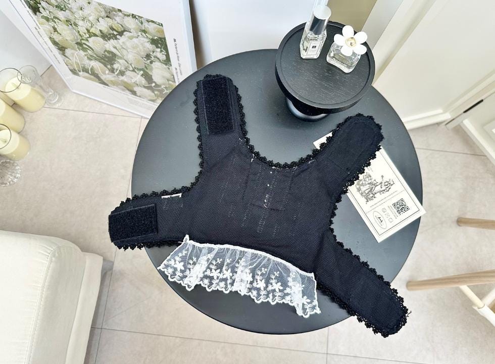 Lace Collar Harness Dress with D-Ring S-XL, Small Dog Harness, Dog Harness Wear, Dog Walk, Dog Outdoor, Harness Clothes - NKpup
