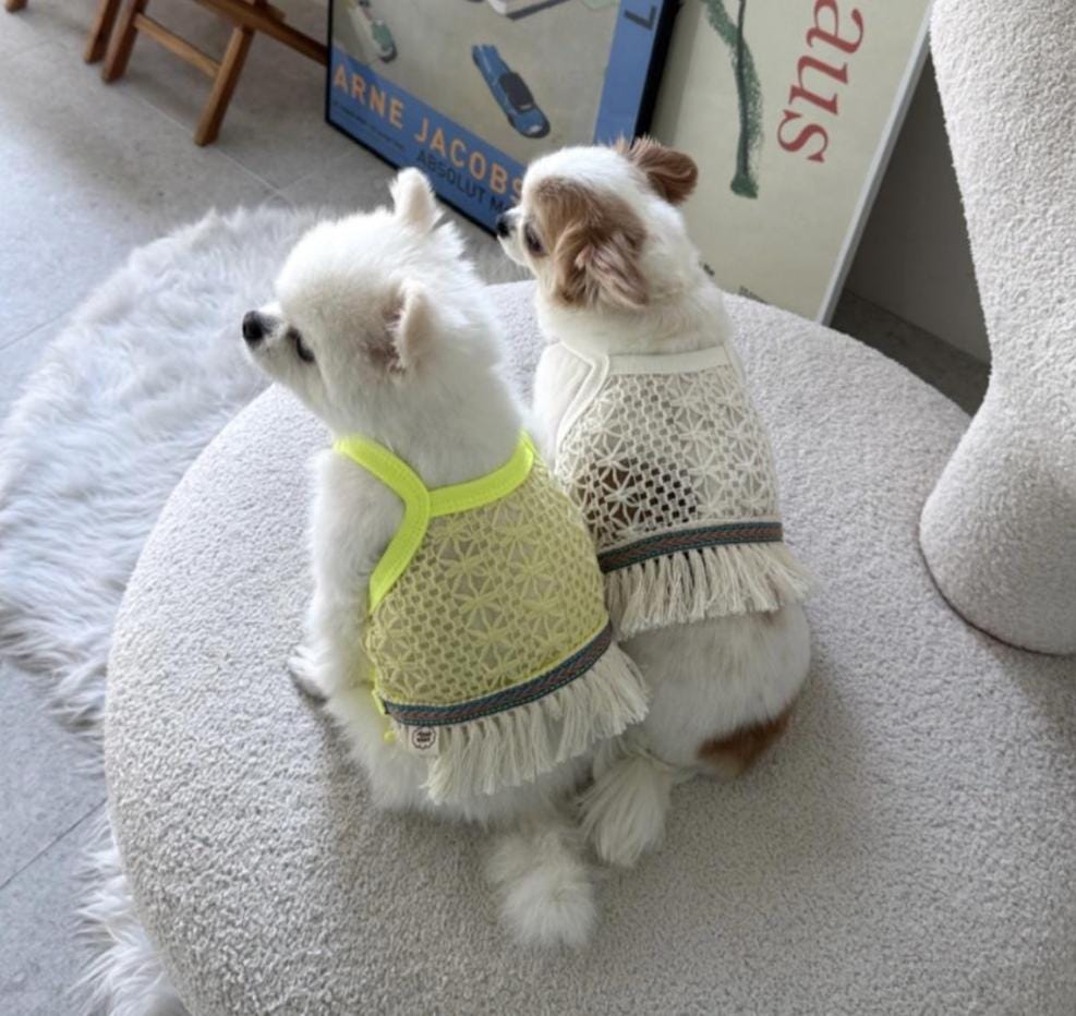 Boho Fringe Crochet Top, S-2XL, Small Dog Clothes, Soft & Sweet Dog Top, Dog Summer Knit, NKPUP - NKpup