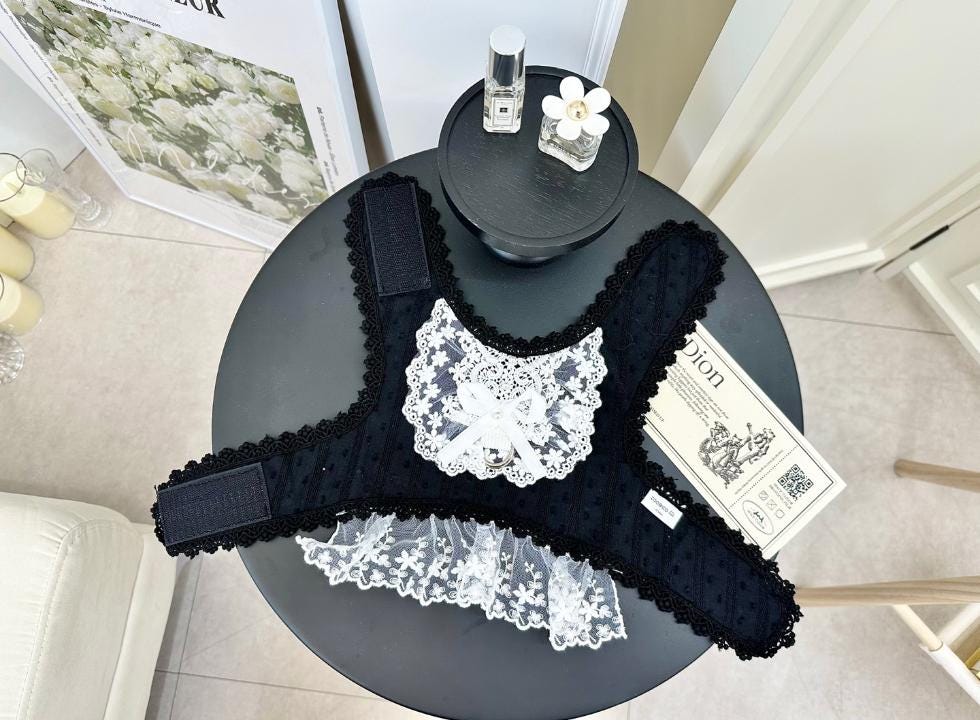 Lace Collar Harness Dress with D-Ring S-XL, Small Dog Harness, Dog Harness Wear, Dog Walk, Dog Outdoor, Harness Clothes - NKpup