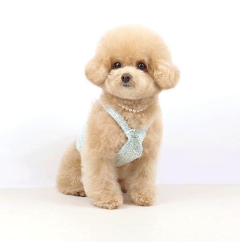 Pastel Tweed Top, S-2XL, Small Dog Dress, Dog Luxury Vest, Dog Fashion, Pet Apparel, Summer Dress, NKpup - NKpup