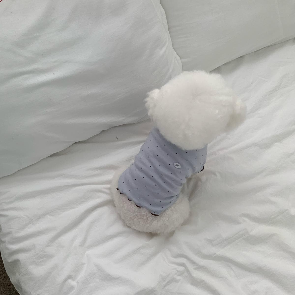 Mini Dot Sleeve Top, S-XL, Small Dog Clothes, Dog Cute Top, Dog Comfy Top, Dog Knit, Gift for Furry Friends, NKPUP - NKpup