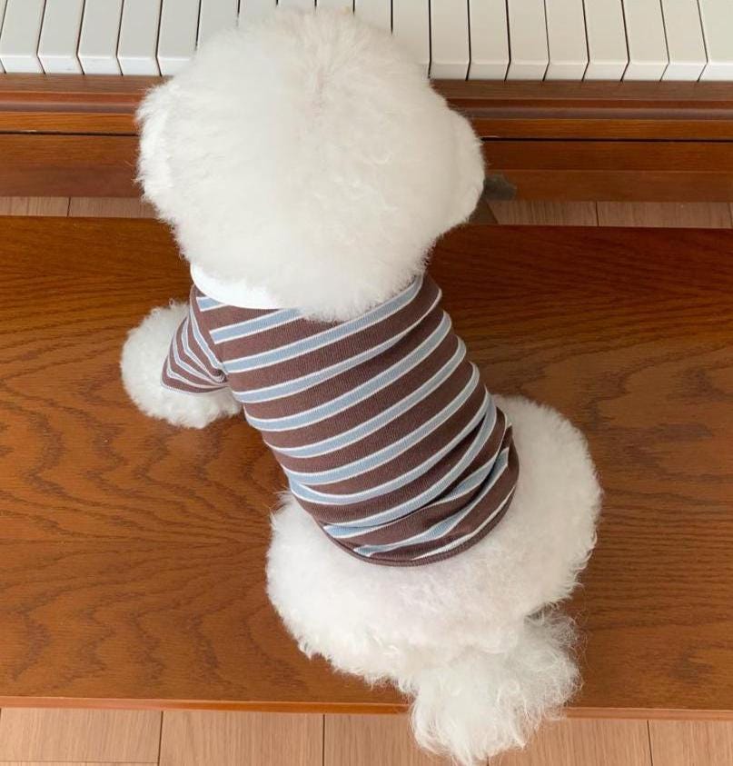 Striped Polo Shirt, S-XL, Small Dog Clothes, Dog Cute Top, Dog Comfy Top, Dog Knit, Gift for Furry Friends, NKPUP - NKpup