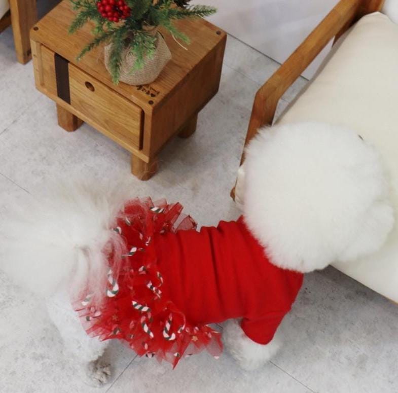 Candy Tulle Holiday Dress, S-XL, Dog Holidays Dress, Christmas Costume Dog, Dog Luxury Outfit, Dog Tutu, NKPUP - NKpup