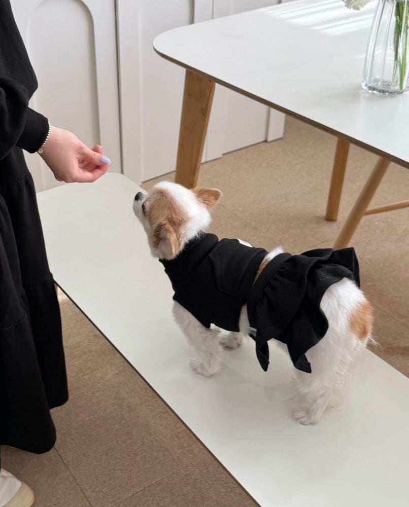 Two Piece Ruffle Skirt Dress Set, S-2XL, Small Dog Clothes, Dog Dress, Dog Outfit, Dog Apparel, Pet Clothing, NKPUP - NKpup