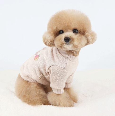 Fresh Fruit Terry Shirt&Dress, S-XL, Dog Skirt, Dog Top, Dog Clothing, Dog Fashion, Dog Apparel - NKpup