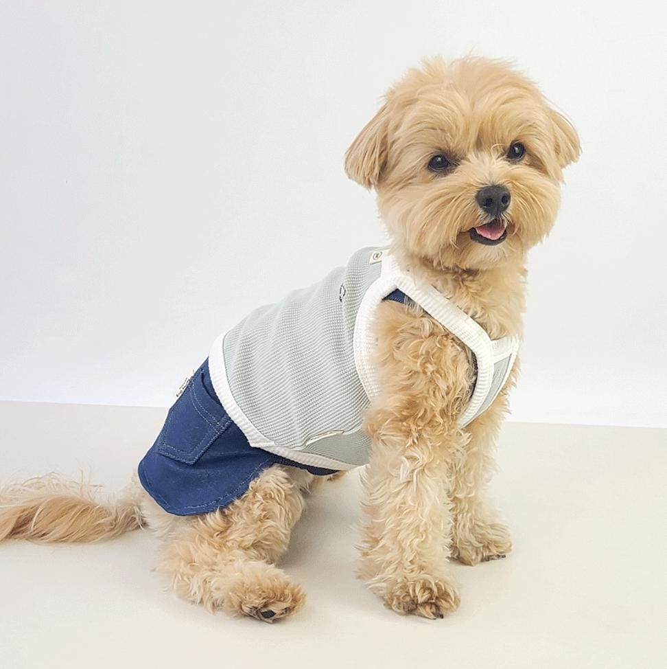 Denim Jogger Pants, S-2XL, Dog Jumpsuit, Pet Clothing, Dog Skirt, Dog Winter Top, Dog Fashion, Dog Apparel, Pet Clothing - NKpup