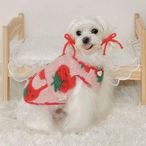 Colorful Sherpa Button Vest, S-2XL, Small Dog Clothes, Dog Vest, Dog Outer, Small Dog Outfit, NKPUP - NKpup