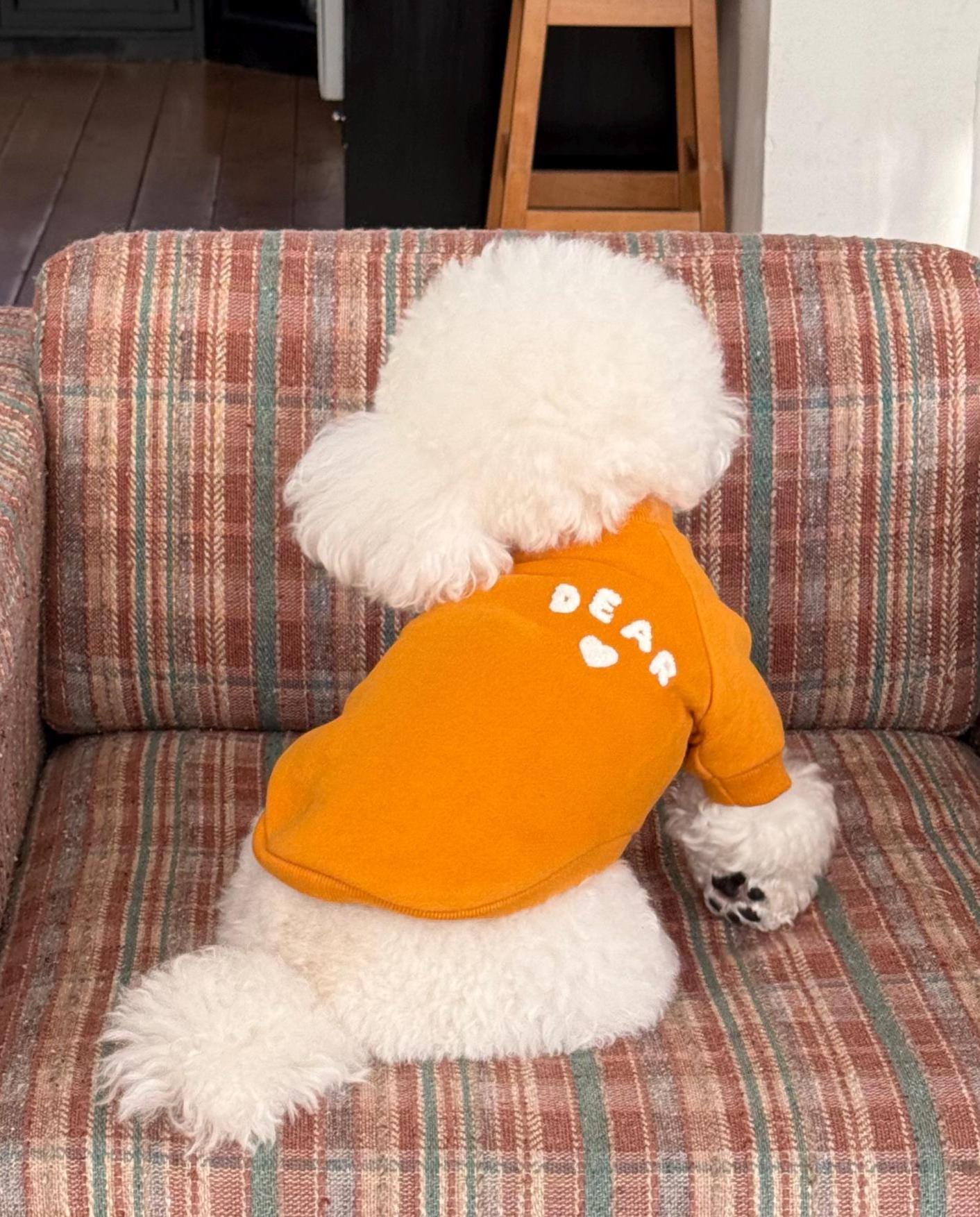 Bear Heart Sweatshirt, S-2XL, Small Dog Clothes, Dog Essential Tee, Dog T-shirts, Dog Top, NKPUP - NKpup