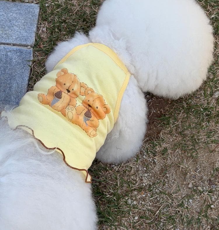 Teddy Bear Crop Top, XS-2XL, Dog-Tee, Dog Cutie Shirt, Dog Top, Dog Clothing, Dog Fashion, Dog Long sleeves - NKpup