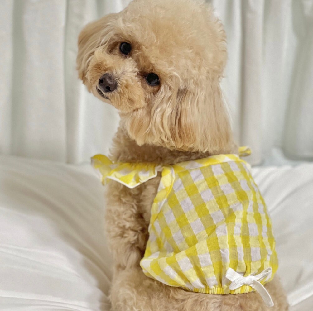 Gingham Crop Top