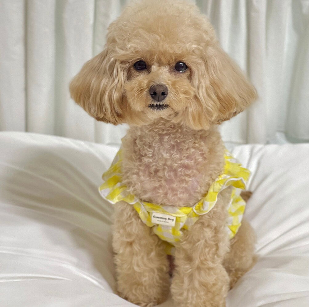 Gingham Crop Top