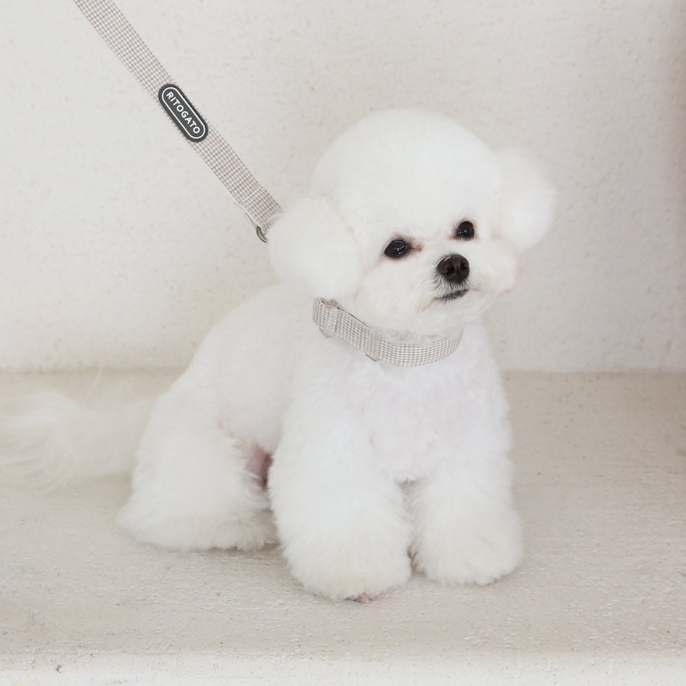 Organic Cotton Collar Leash
