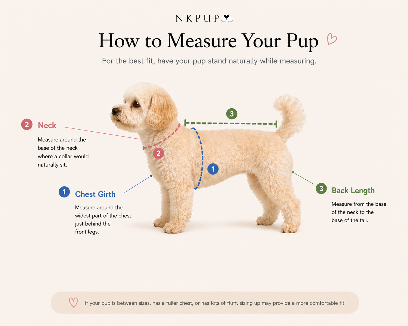 Finding the Right Fit: NKPUP Size Guide