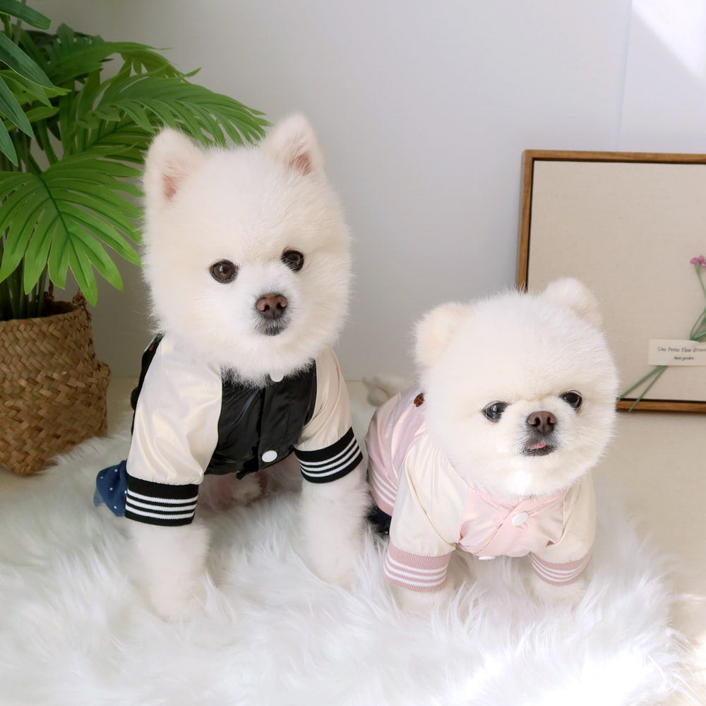 Hugs Bear Sporty Dog Jacket