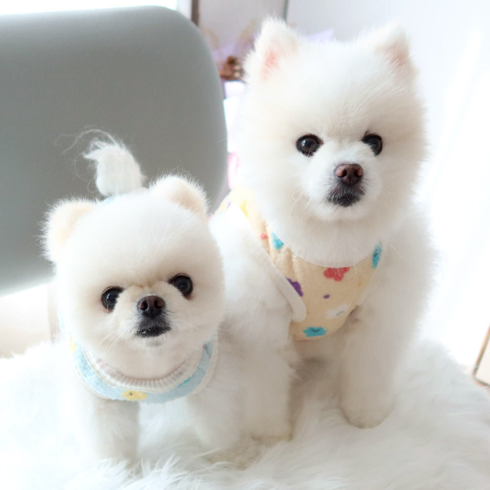 Jelly Bear Boa Fleece Dog Vest