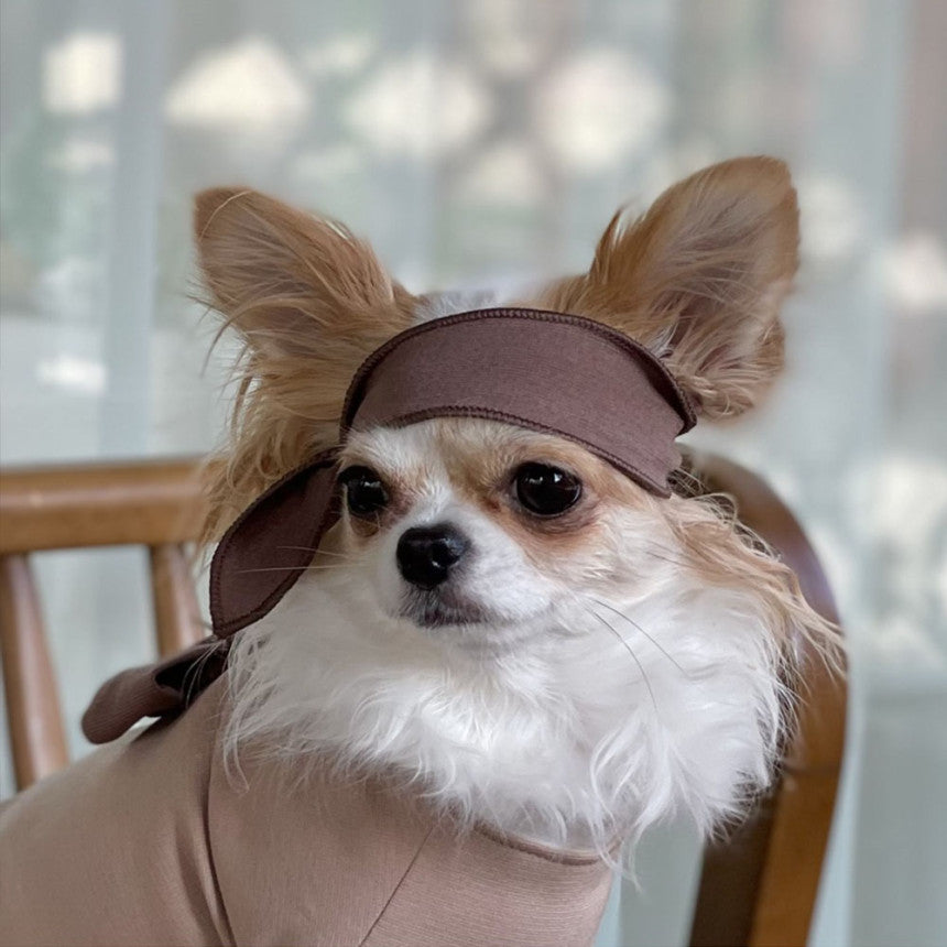 Traditional Durumagi Pet Hanbok