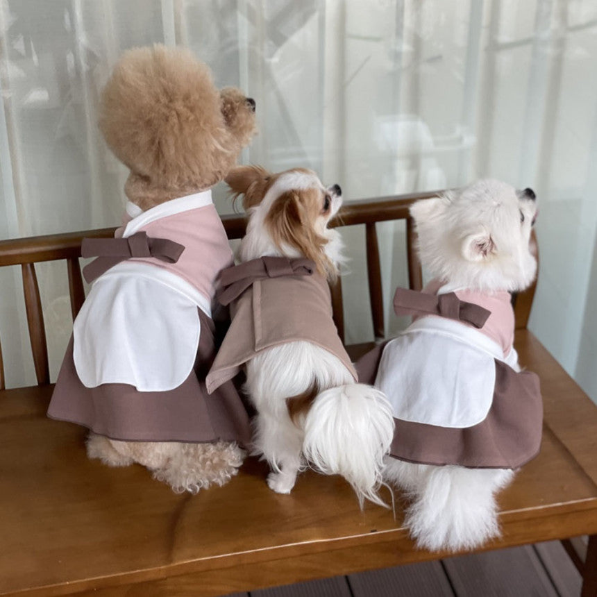 Traditional Pet Hanbok