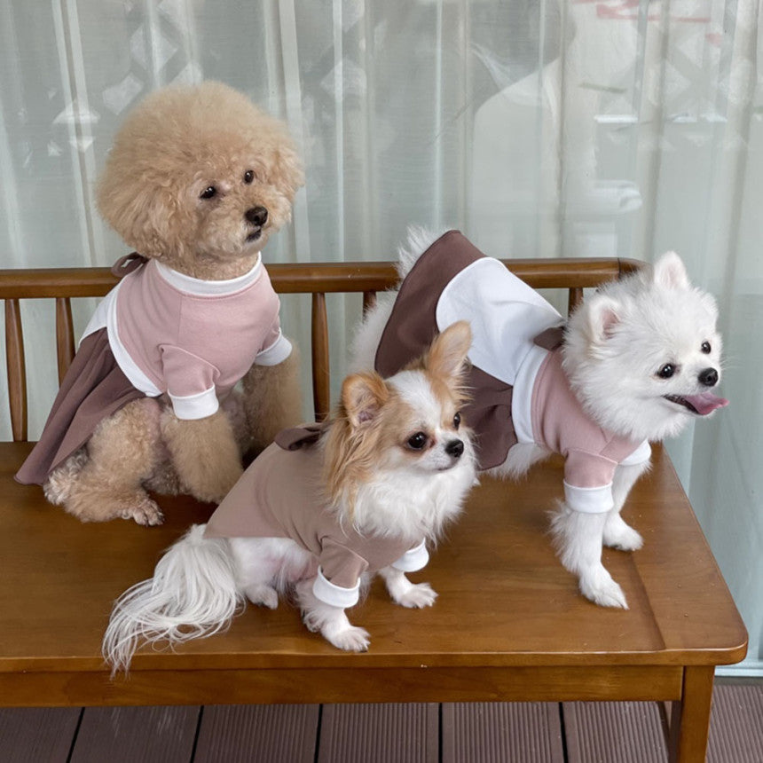 Traditional Pet Hanbok