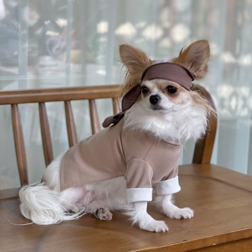 Traditional Durumagi Pet Hanbok