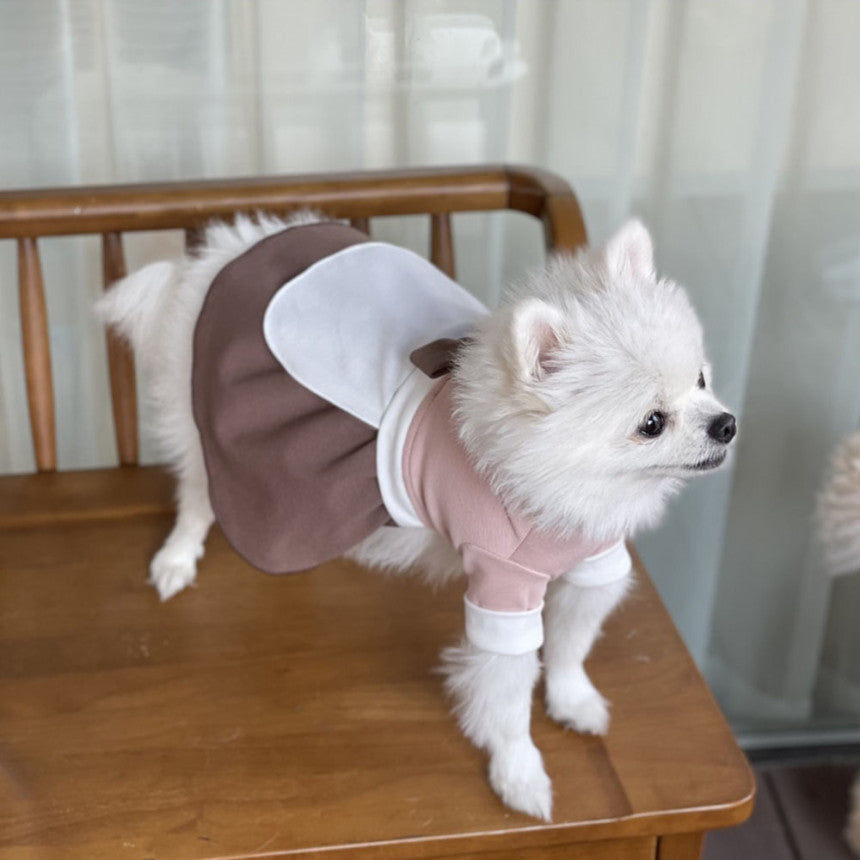 Traditional Pet Hanbok
