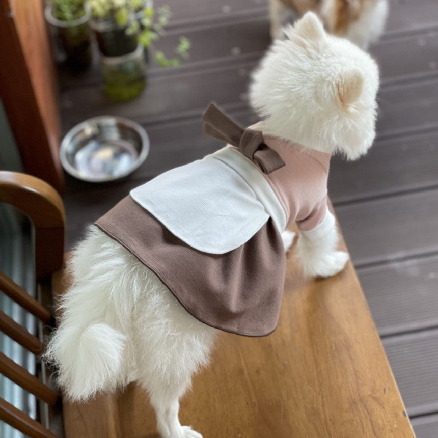 Traditional Pet Hanbok