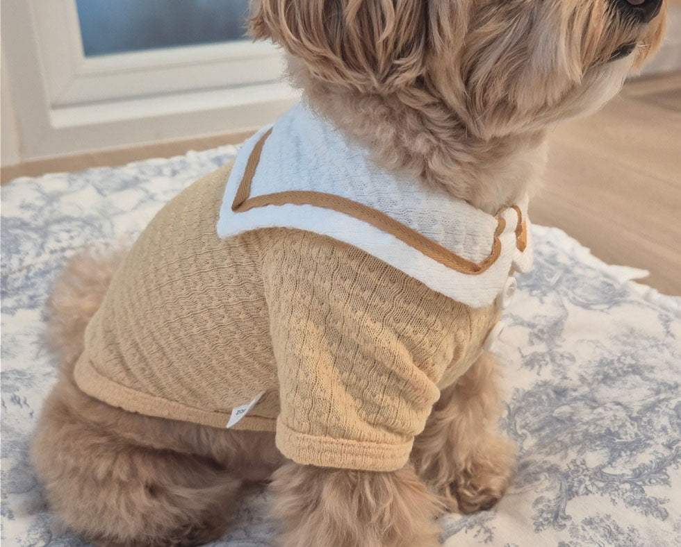 Cozy Sailor Dog Shirt
