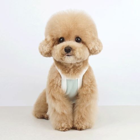 NKpup Waffle Bear Crop Top for dogs in a light mint green waffle knit fabric.
