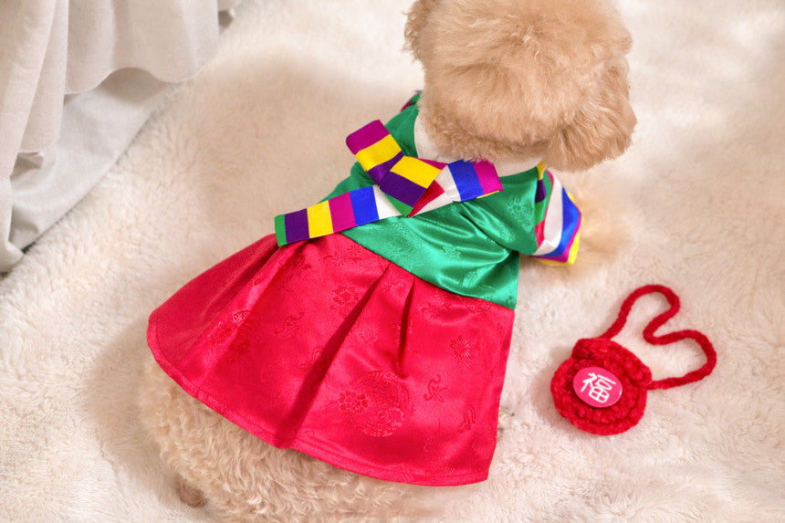 Korean Saekdong Pet Hanbok