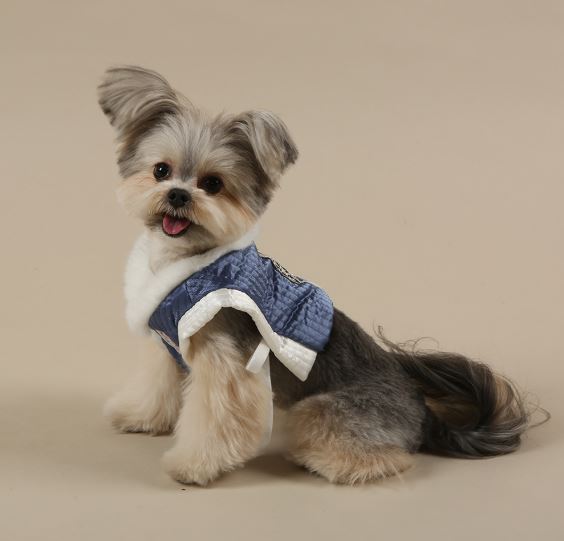 Royal Quilted Baeja Vest Pet Hanbok