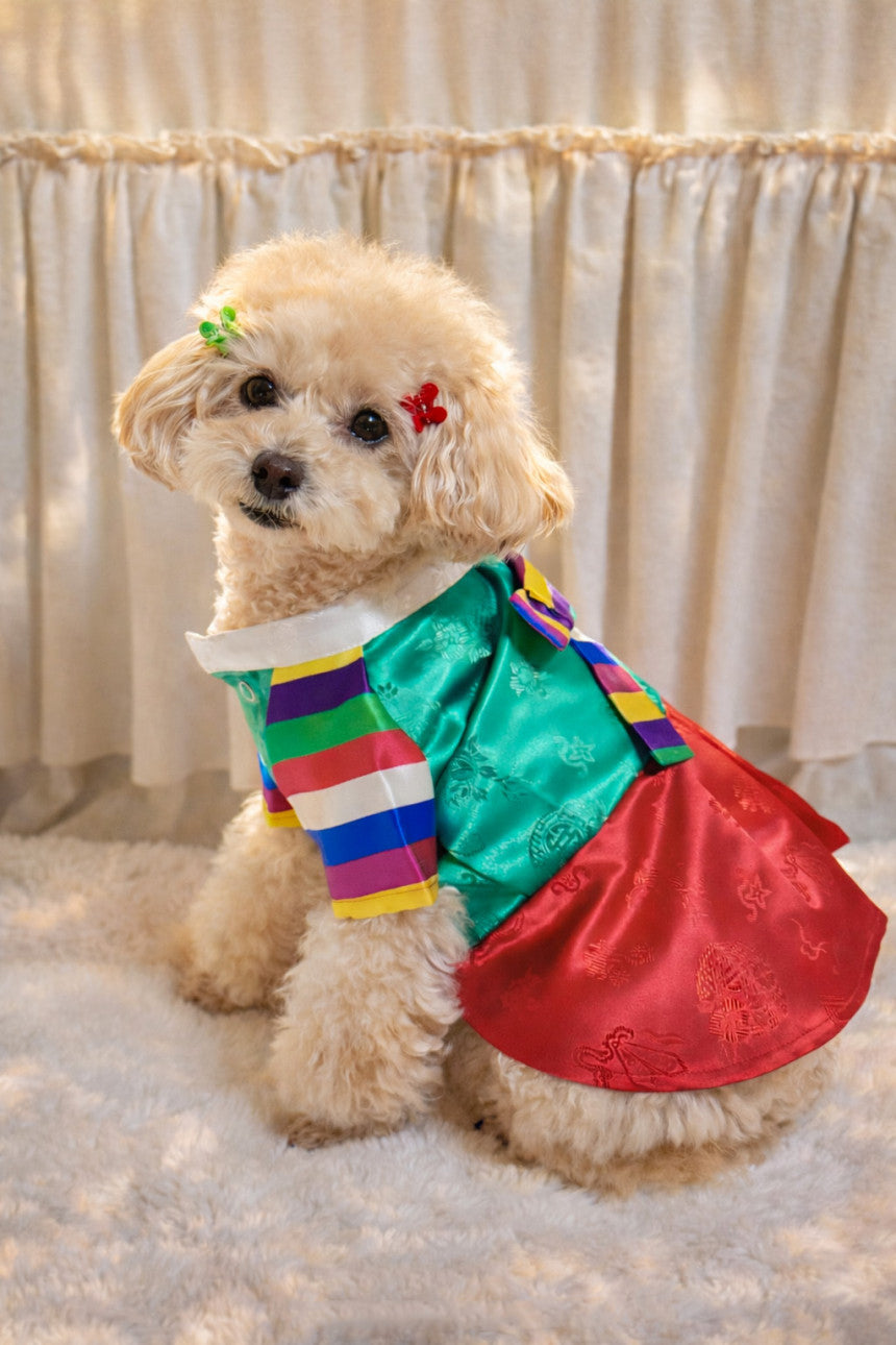 Korean Saekdong Pet Hanbok