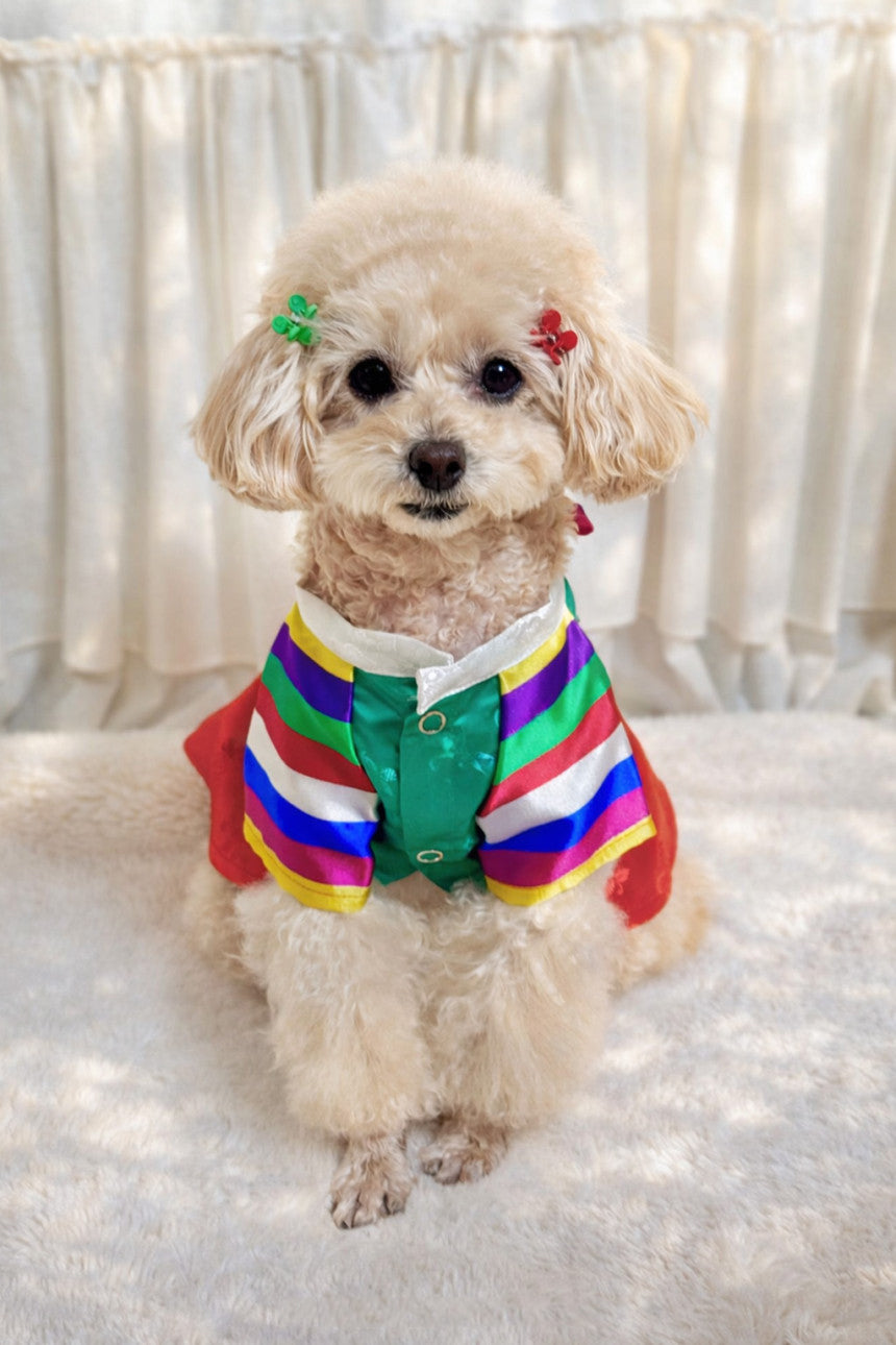 Korean Saekdong Pet Hanbok
